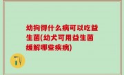 幼狗得什么病可以吃益生菌(幼犬可用益生菌缓解哪些疾病)