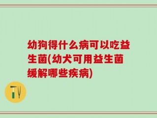 幼狗得什么病可以吃益生菌(幼犬可用益生菌缓解哪些疾病)