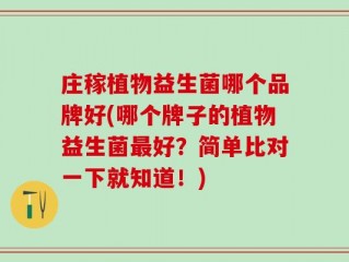 庄稼植物益生菌哪个品牌好(哪个牌子的植物益生菌最好？简单比对一下就知道！)