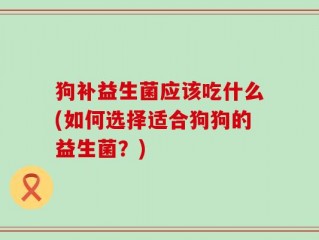狗补益生菌应该吃什么(如何选择适合狗狗的益生菌？)