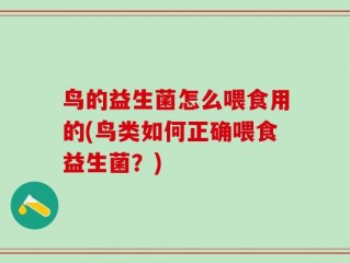 鸟的益生菌怎么喂食用的(鸟类如何正确喂食益生菌？)