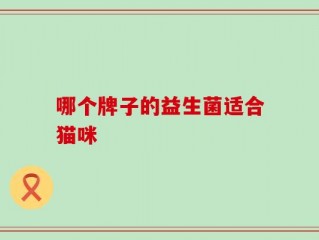 哪个牌子的益生菌适合猫咪