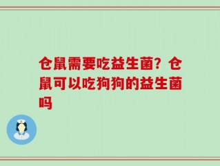 仓鼠需要吃益生菌？仓鼠可以吃狗狗的益生菌吗