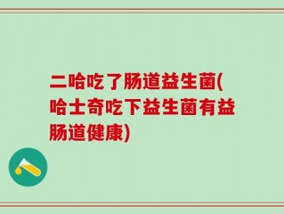 二哈吃了肠道益生菌(哈士奇吃下益生菌有益肠道健康)
