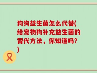 狗狗益生菌怎么代替(给宠物狗补充益生菌的替代方法，你知道吗？)