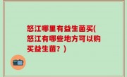 怒江哪里有益生菌买(怒江有哪些地方可以购买益生菌？)