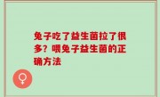 兔子吃了益生菌拉了很多？喂兔子益生菌的正确方法