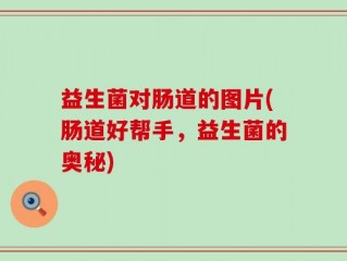 益生菌对肠道的图片(肠道好帮手，益生菌的奥秘)
