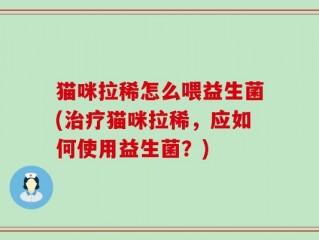 猫咪拉稀怎么喂益生菌(治疗猫咪拉稀，应如何使用益生菌？)