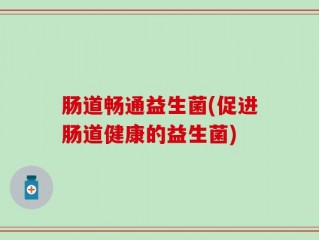 肠道畅通益生菌(促进肠道健康的益生菌)