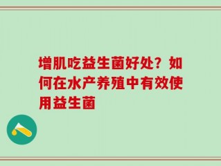 增肌吃益生菌好处？如何在水产养殖中有效使用益生菌