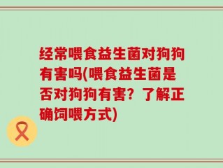 经常喂食益生菌对狗狗有害吗(喂食益生菌是否对狗狗有害？了解正确饲喂方式)