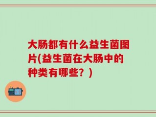 大肠都有什么益生菌图片(益生菌在大肠中的种类有哪些？)