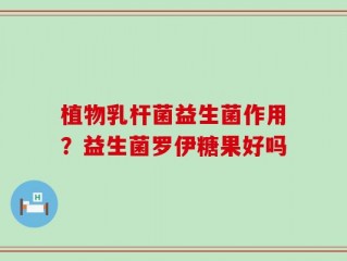 植物乳杆菌益生菌作用？益生菌罗伊糖果好吗