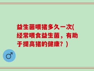 益生菌喂猪多久一次(经常喂食益生菌，有助于提高猪的健康？)
