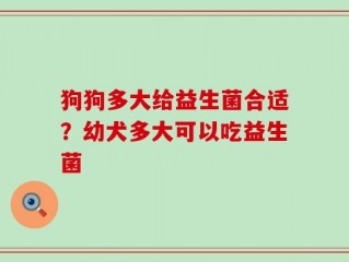 狗狗多大给益生菌合适？幼犬多大可以吃益生菌