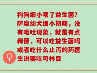 狗狗细小喂了益生菌？萨摩幼犬细小初期，没有呕吐现象，就是有点稀便，可以吃益生菌吗或者吃什么止泻的药医生说要吃可林目