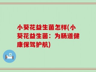 小葵花益生菌怎样(小葵花益生菌：为肠道健康保驾护航)