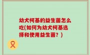 幼犬柯基的益生菌怎么吃(如何为幼犬柯基选择和使用益生菌？)