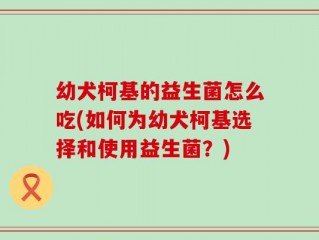 幼犬柯基的益生菌怎么吃(如何为幼犬柯基选择和使用益生菌？)
