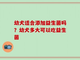 幼犬适合添加益生菌吗？幼犬多大可以吃益生菌