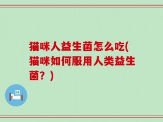 猫咪人益生菌怎么吃(猫咪如何服用人类益生菌？)