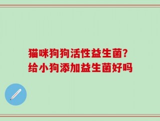 猫咪狗狗活性益生菌？给小狗添加益生菌好吗
