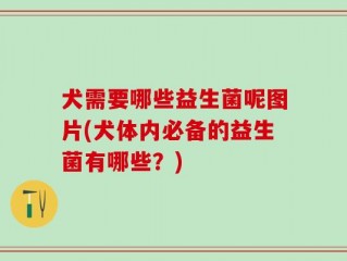 犬需要哪些益生菌呢图片(犬体内必备的益生菌有哪些？)