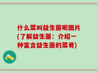 什么菜叫益生菌呢图片(了解益生菌：介绍一种富含益生菌的菜肴)