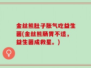 金丝熊肚子胀气吃益生菌(金丝熊肠胃不适，益生菌成救星。)