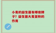 小麦的益生菌有哪些牌子？益生菌大麦苗粉的作用