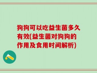 狗狗可以吃益生菌多久有效(益生菌对狗狗的作用及食用时间解析)