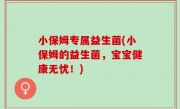 小保姆专属益生菌(小保姆的益生菌，宝宝健康无忧！)