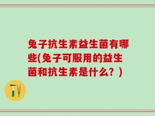 兔子抗生素益生菌有哪些(兔子可服用的益生菌和抗生素是什么？)