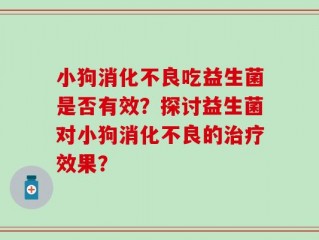 小狗消化不良吃益生菌是否有效？探讨益生菌对小狗消化不良的治疗效果？