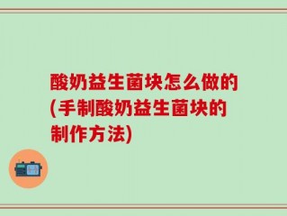 酸奶益生菌块怎么做的(手制酸奶益生菌块的制作方法)