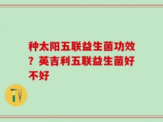 种太阳五联益生菌功效？英吉利五联益生菌好不好