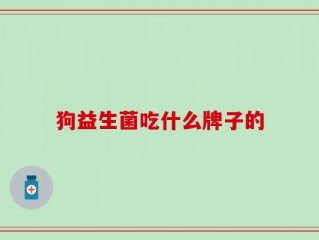 狗益生菌吃什么牌子的
