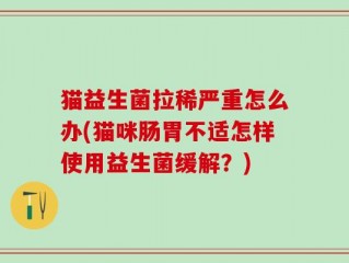 猫益生菌拉稀严重怎么办(猫咪肠胃不适怎样使用益生菌缓解？)