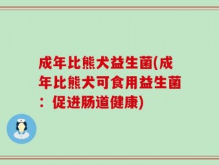 成年比熊犬益生菌(成年比熊犬可食用益生菌：促进肠道健康)