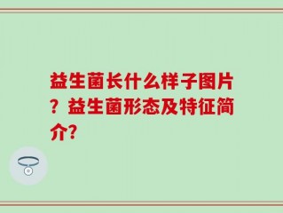 益生菌长什么样子图片？益生菌形态及特征简介？