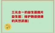 三元合一的益生菌图片益生菌：维护肠道健康的天然武器)