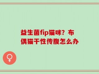 益生菌fip猫咪？布偶猫干性传腹怎么办