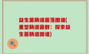 益生菌肠道菌落图谱(重塑肠道菌群：探索益生菌肠道图谱)
