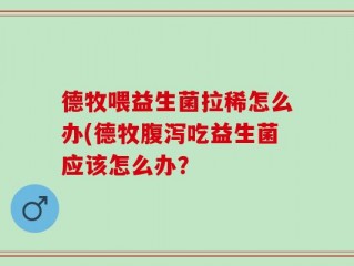 德牧喂益生菌拉稀怎么办(德牧腹泻吃益生菌应该怎么办？