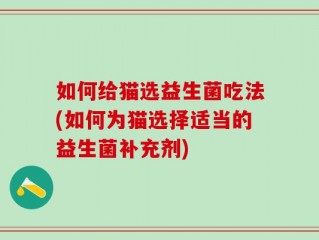 如何给猫选益生菌吃法(如何为猫选择适当的益生菌补充剂)