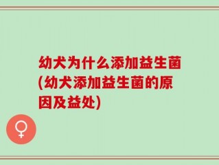 幼犬为什么添加益生菌(幼犬添加益生菌的原因及益处)