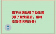 猫不吃饭给喂了益生菌(喂了益生菌后，猫咪吃饭情况有改善)