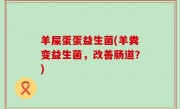 羊屎蛋蛋益生菌(羊粪变益生菌，改善肠道？)