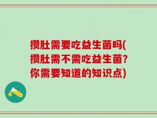 攒肚需要吃益生菌吗(攒肚需不需吃益生菌？你需要知道的知识点)